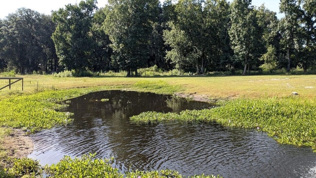 Building Photo - 1208 County Rd 315