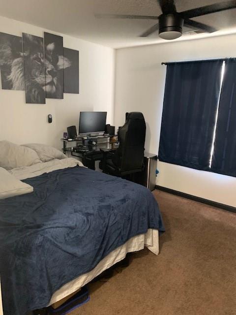 Building Photo - 2406 Brianna Dr