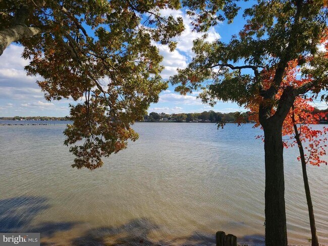 Building Photo - 11003 Bowerman Rd