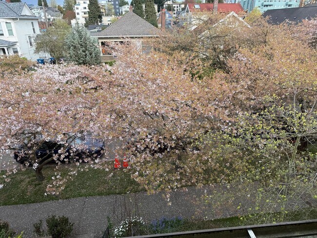 Building Photo - The Perfect Restored University Heights Home -available for rent now!