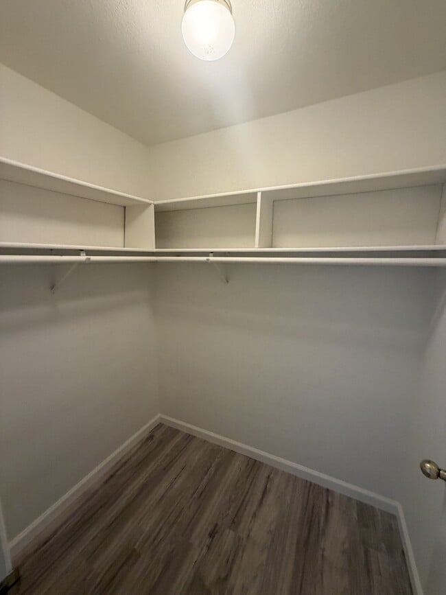Building Photo - 844 Stetson Way