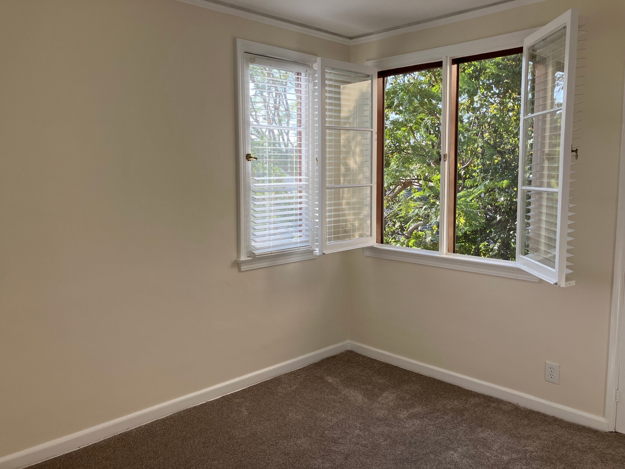 Building Photo - 834 12th St