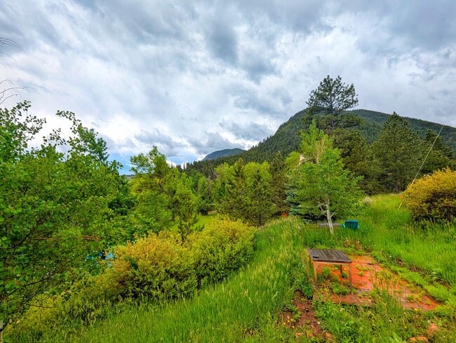 Building Photo - Fully Remodled Cabin in Palmer Lake with A...
