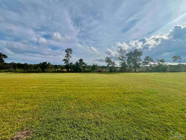 Building Photo - 6219 June Bug Dr