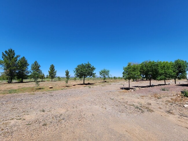 Building Photo - large home in douglas with guest house 1050 Rochine Rd