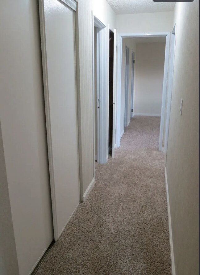 Building Photo - Beautiful 2B/2B Apartment Available Now!