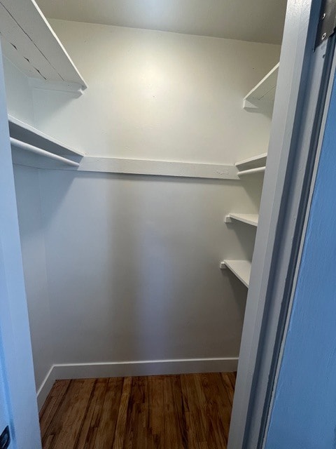 Building Photo - 1311 Court Ln