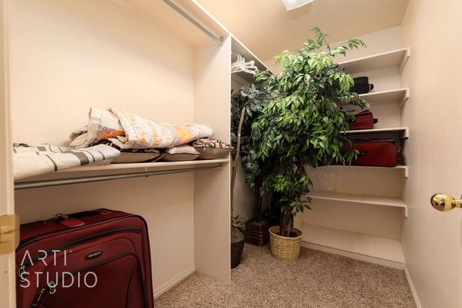Building Photo - Spacious 3-Bedroom Walk-Out Basement Apartment in Desirable Bloomington Hills
