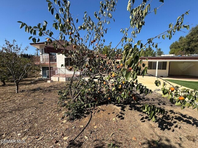 Building Photo - 381 Laguna Terrace