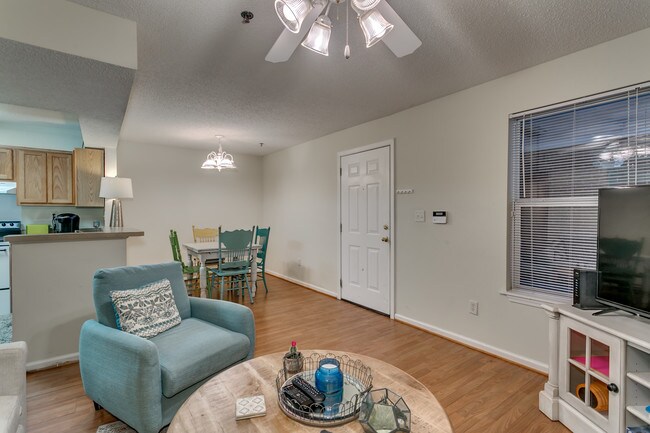 Front Entrance - 513 Frank Thomas Ave