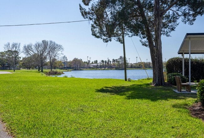 Building Photo - 1/1  Clearwater Duplex -  available now