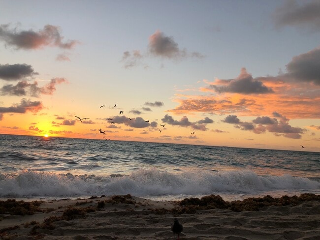 Sun Rise - 1865 79th Street Cswy