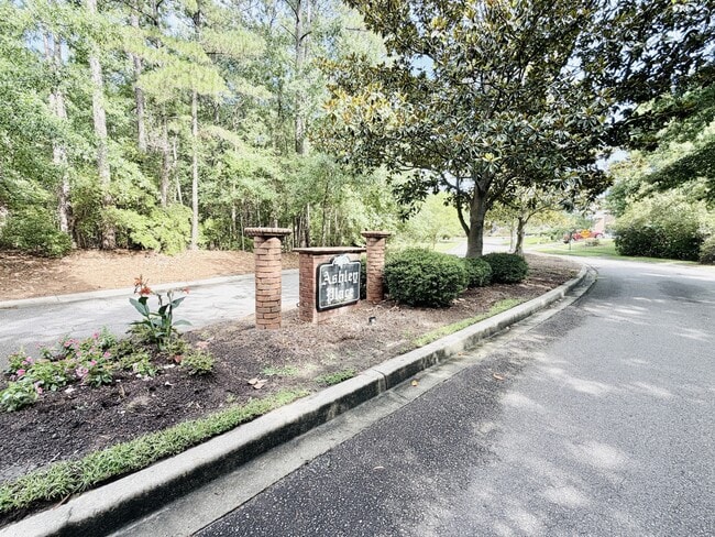 Building Photo - 207 Ashley Place Rd