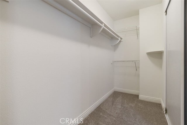 Building Photo - 570 Shadow Ln