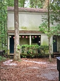 Building Photo - 1311 Rumba Ln