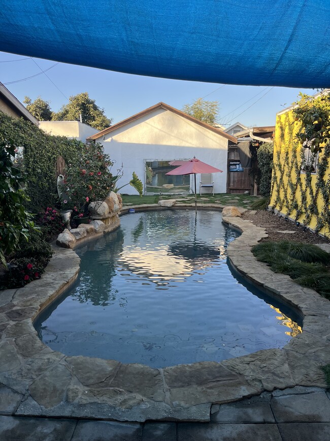 Pool in the back yard - 1655 W 65th Pl