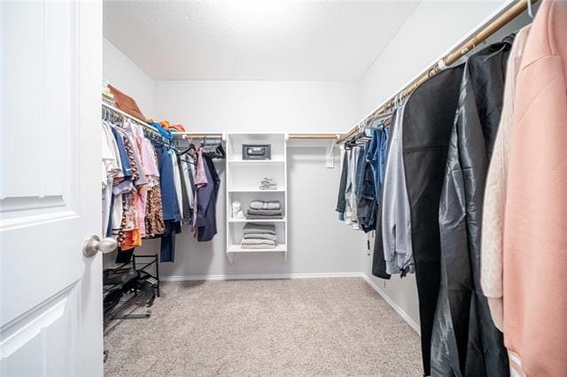 Building Photo - 8900 Devonshire Dr