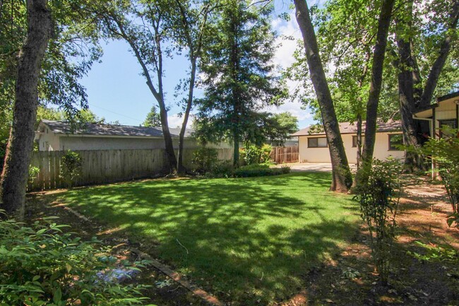 Building Photo - Spacious Home Near Mistletoe Elementary Sc...