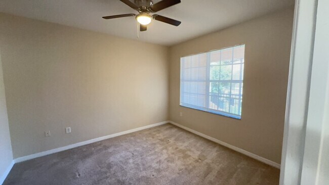 Building Photo - Palm Estates