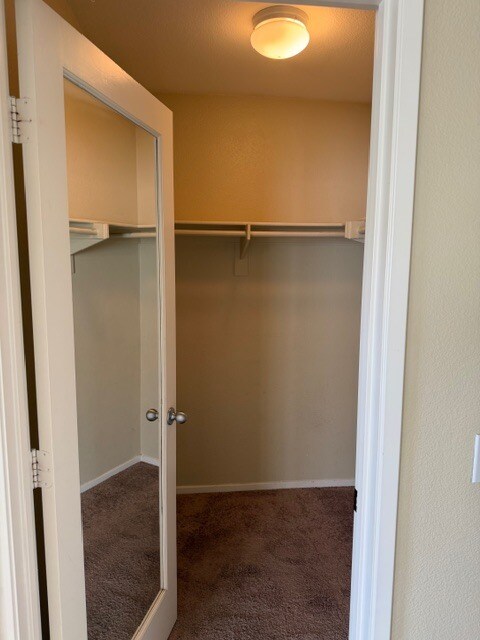 Building Photo - 1924 Geyserville St