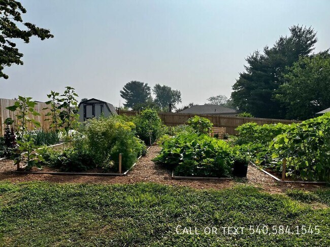 Building Photo - 3615 Ellen Dr