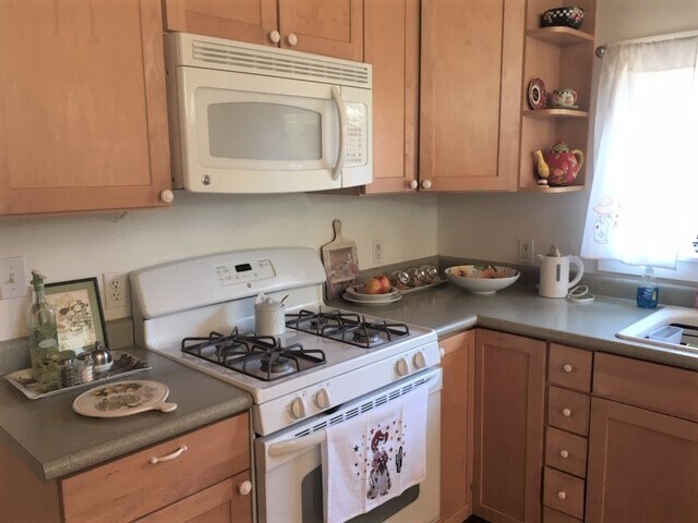 lower level kitchen - 205 Virginia Ave