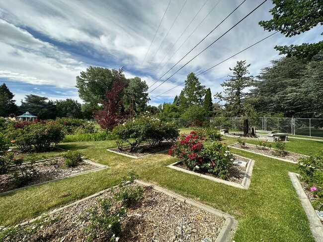 Building Photo - Delightful One-Bedroom + Office Near Idlewild Park