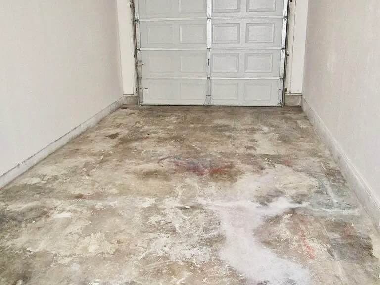 Building Photo - 1817 Wilding Pl