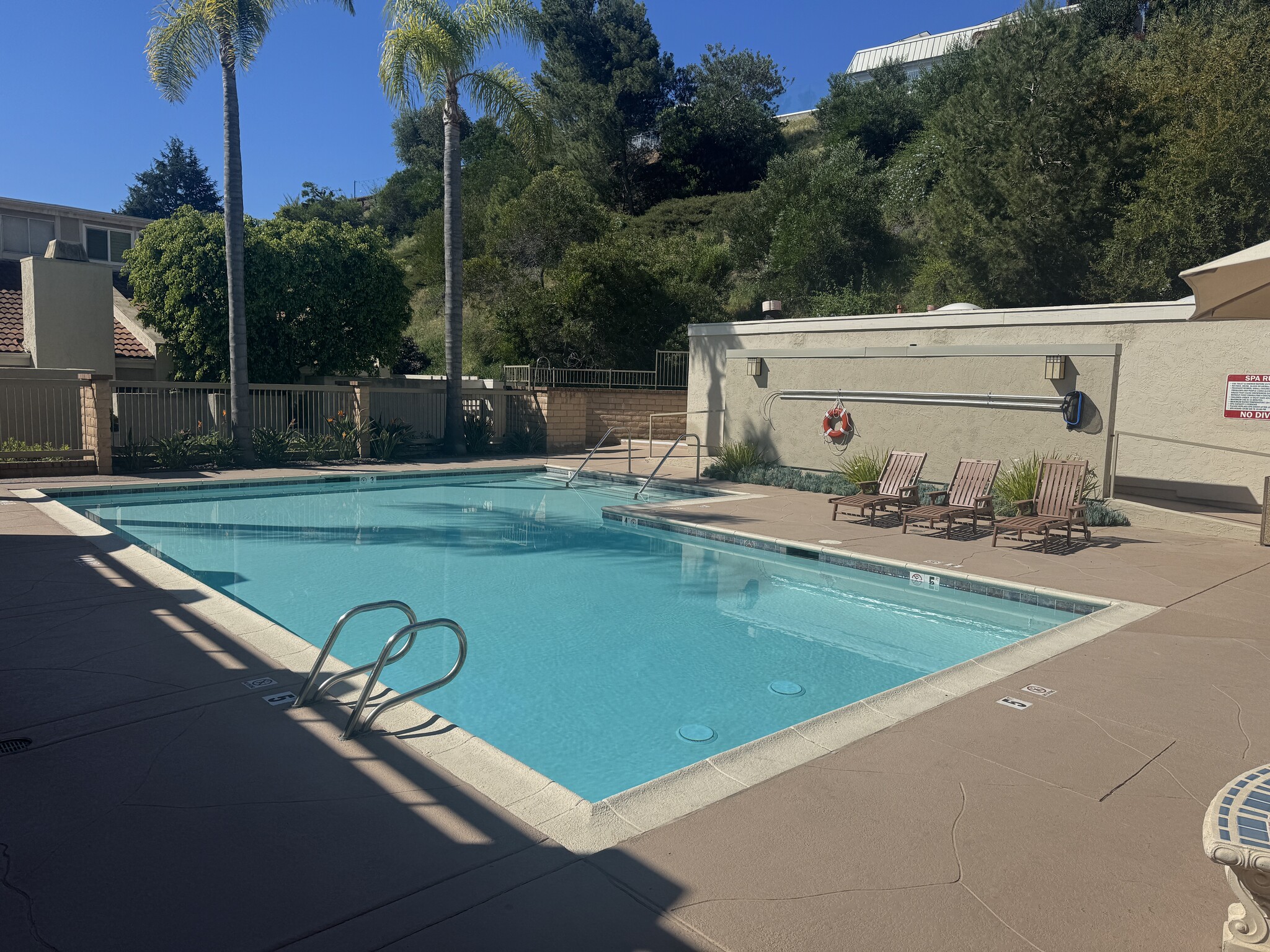 Pool - 3882 Radcliffe Ln