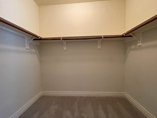 Building Photo - 9103 Creekstone Lake Dr