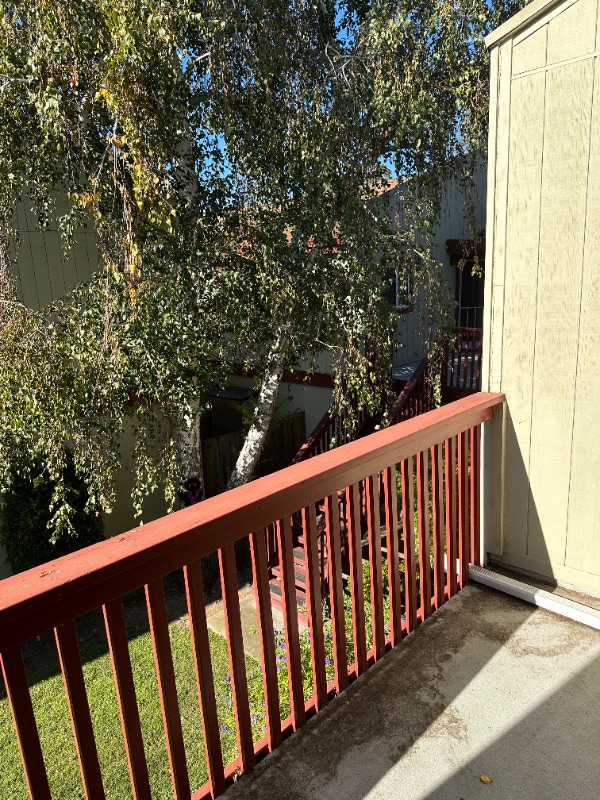 Building Photo - 447 Oak Ave