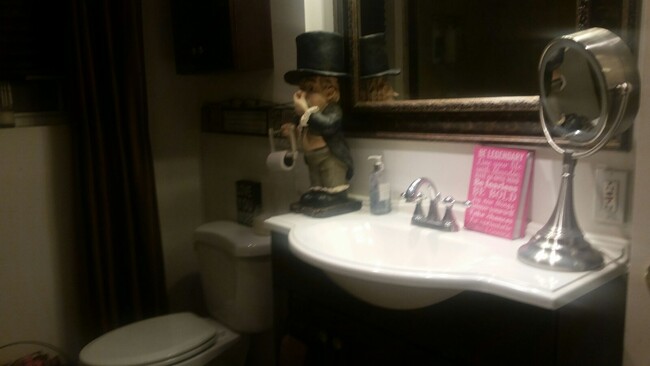 Updated bathroom - 315 N Locust Ave