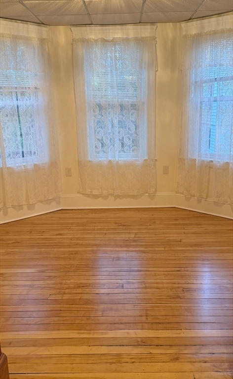 Building Photo - 97 Courtland St