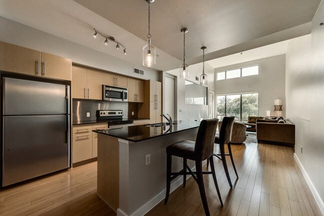 Building Photo - Stunning 2/2 Condo in Oak Lawn!