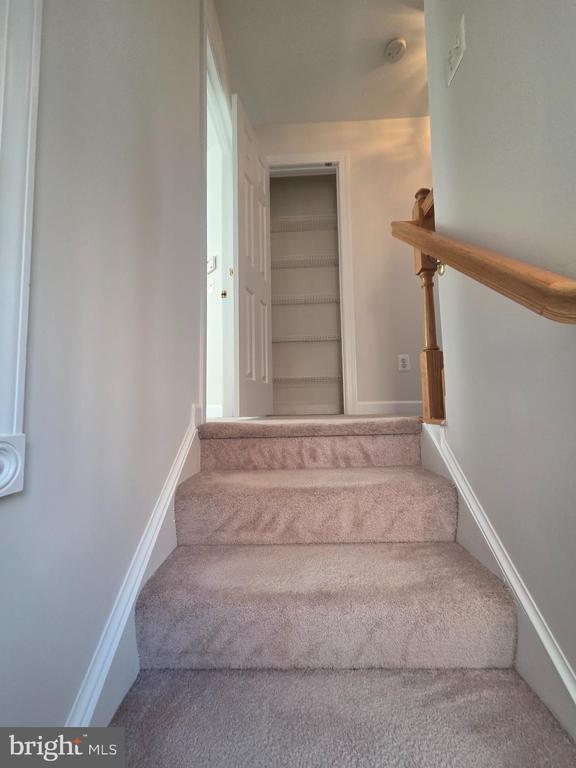 Building Photo - 8183 Skelton Cir