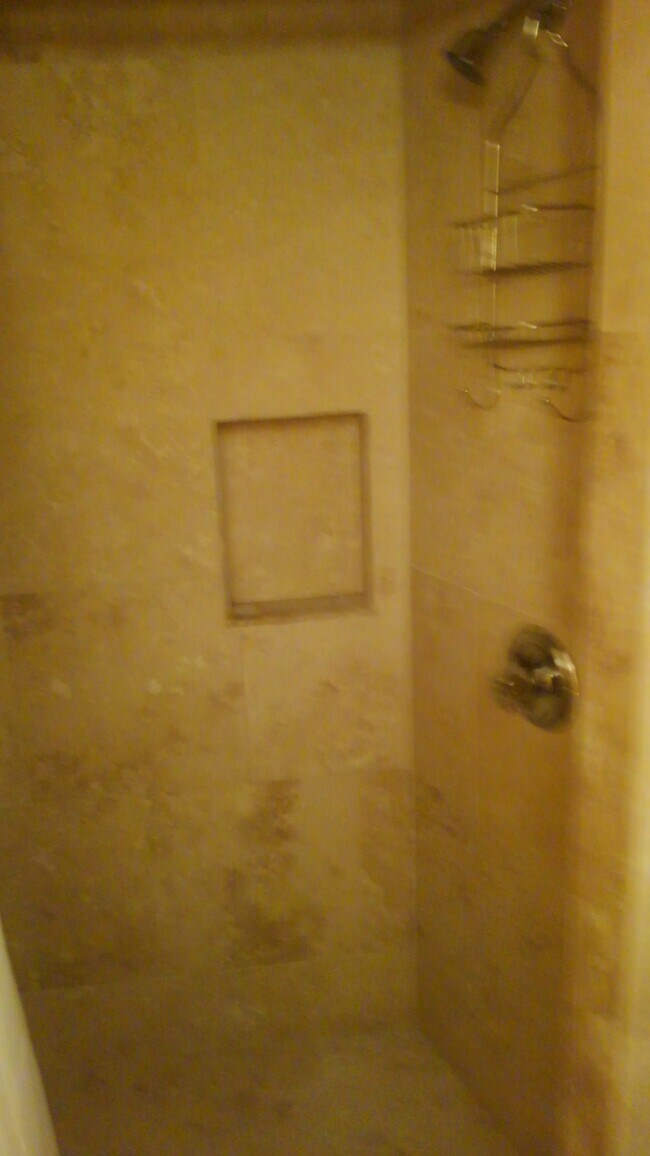 Walk in tile shower - 547 E Grand River Ave