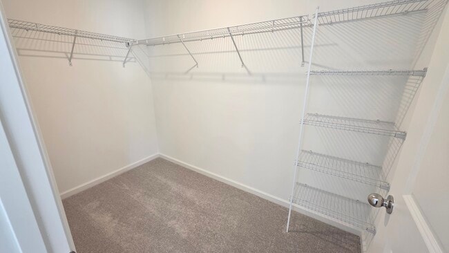 Building Photo - 6916 Golden Monarch Ave