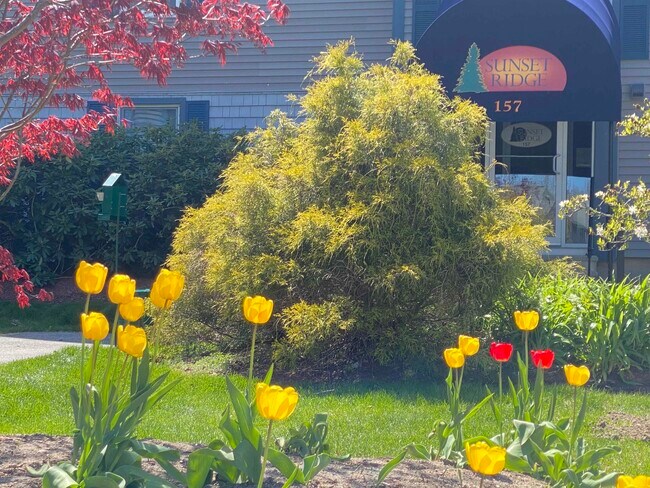 Building Photo - 147 Eastern Ave