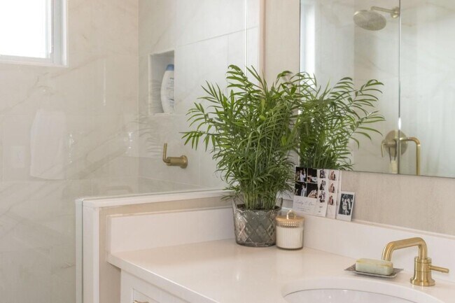 Building Photo - 801 Durant Pl NE