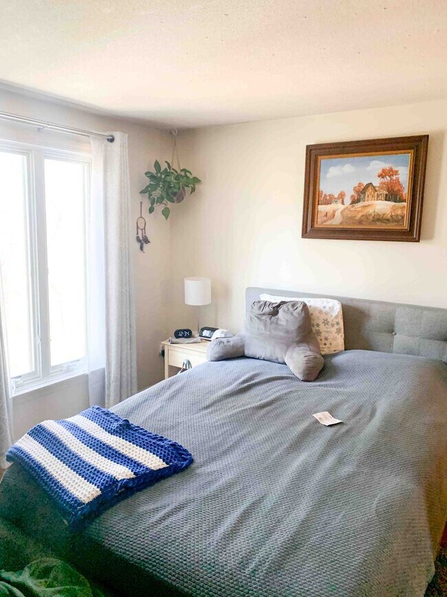 Building Photo - 2 Bed / 1 Bath Apartment – Webster Court, Amherst Available 6/8