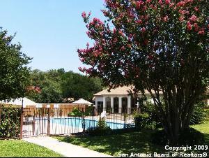 Building Photo - 8702 Village Dr