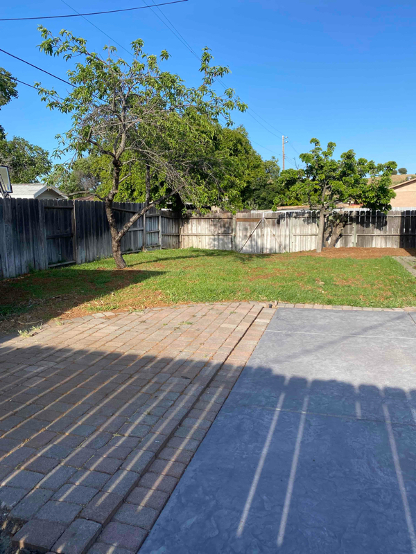 Building Photo - 100 Novato Dr