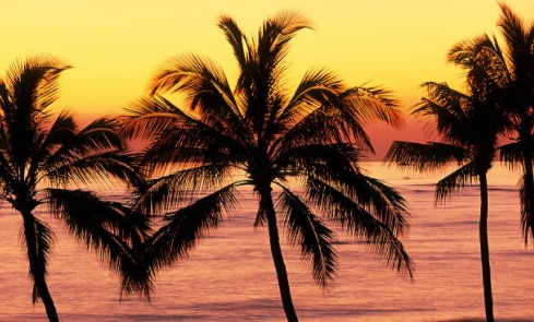 Sunset - 2600 Pualani Way