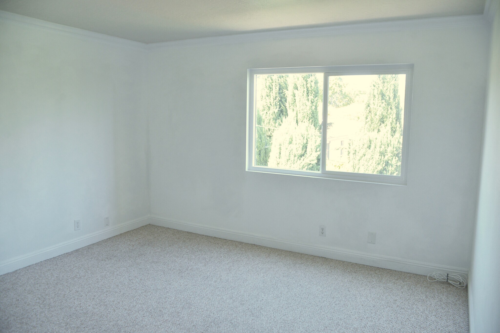 Large Master Bedroom, will fit King size bed and furniture - 4705 Kester Ave