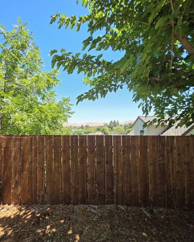 Building Photo - Endearing 4/2 Top of the Line Remodel in Concord's Canterbury Neighborhood
