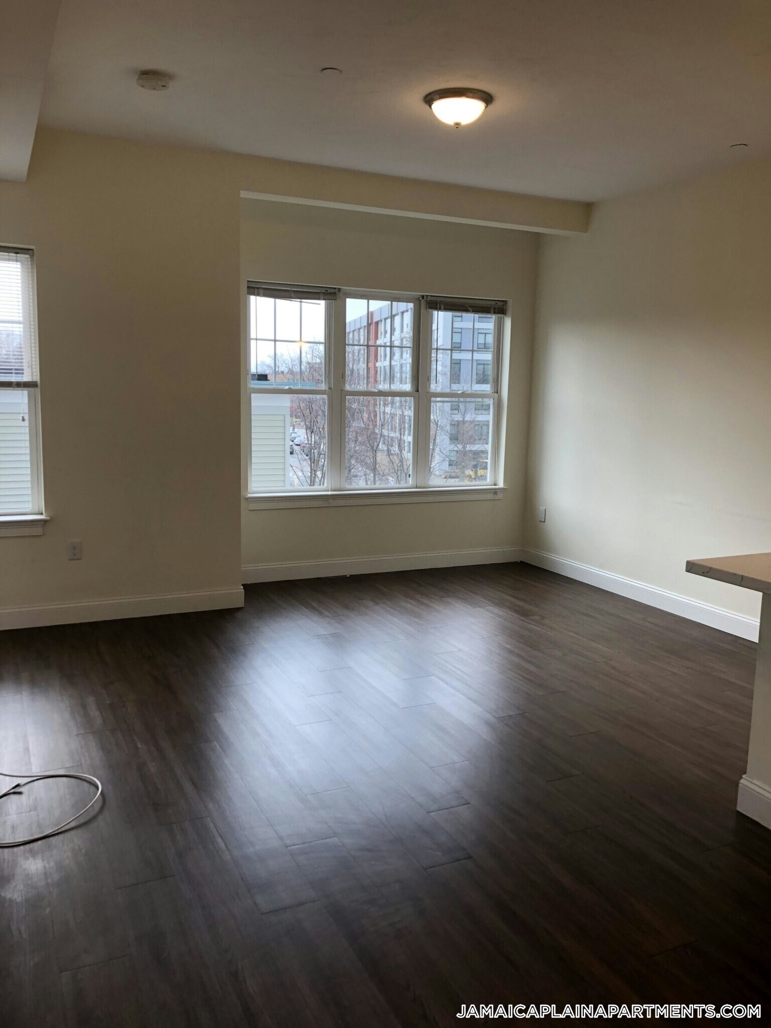 Building Photo - 81 Amory St