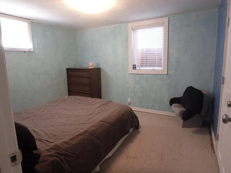 Basement bedroom - 446 Center St