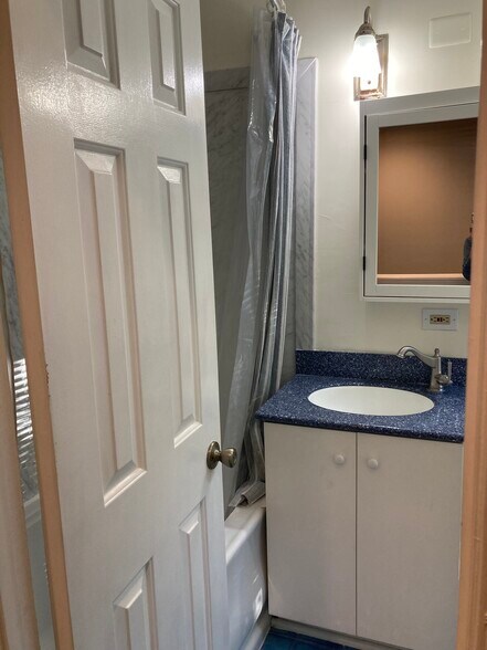 Master Bath 1 of 3 - 1528 Marion St NW