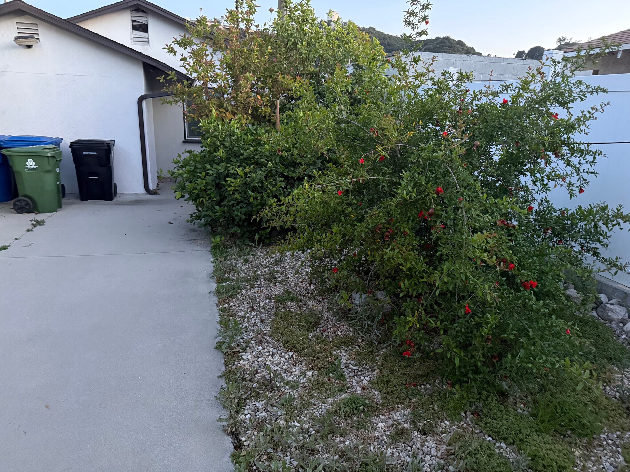 Building Photo - 6850 Quinton Ln