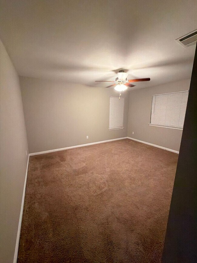 Building Photo - Arabian Colt